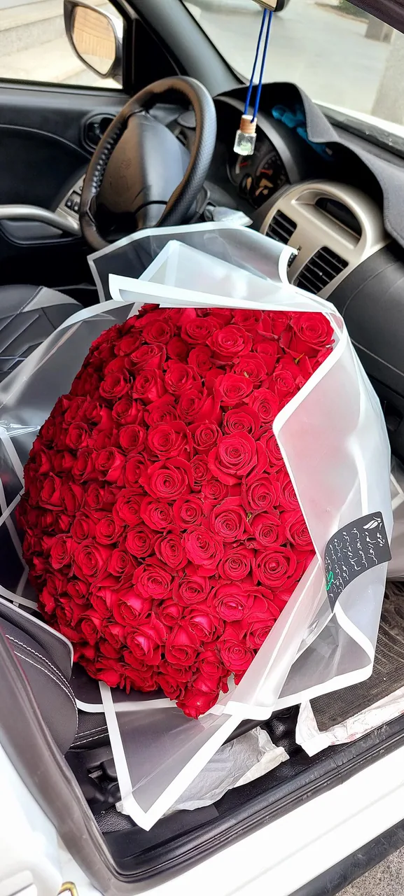 گلسرای آمالیس - تصویر 2