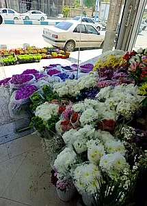 گل سرای فلورا