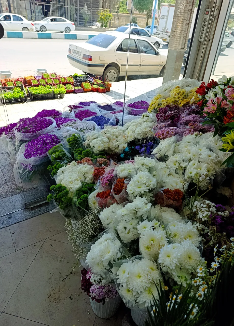 گل سرای فلورا