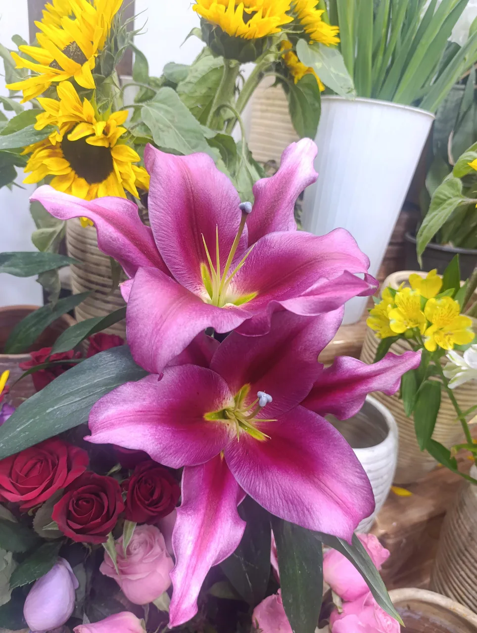 گل سرای فلورا - تصویر 6