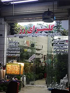 گلسرای کیانشهر