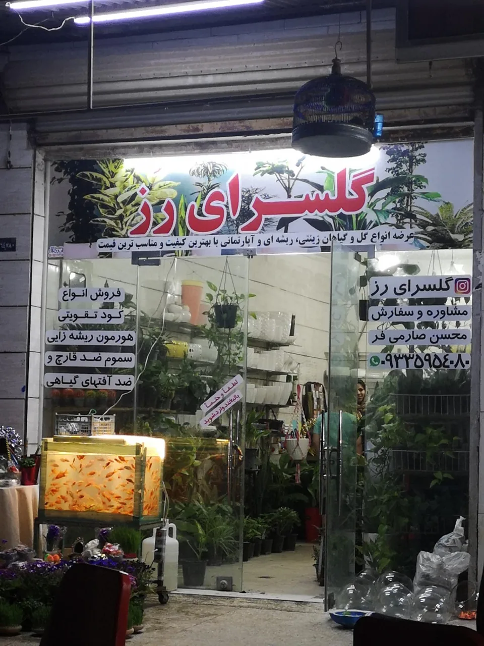 گلسرای کیانشهر