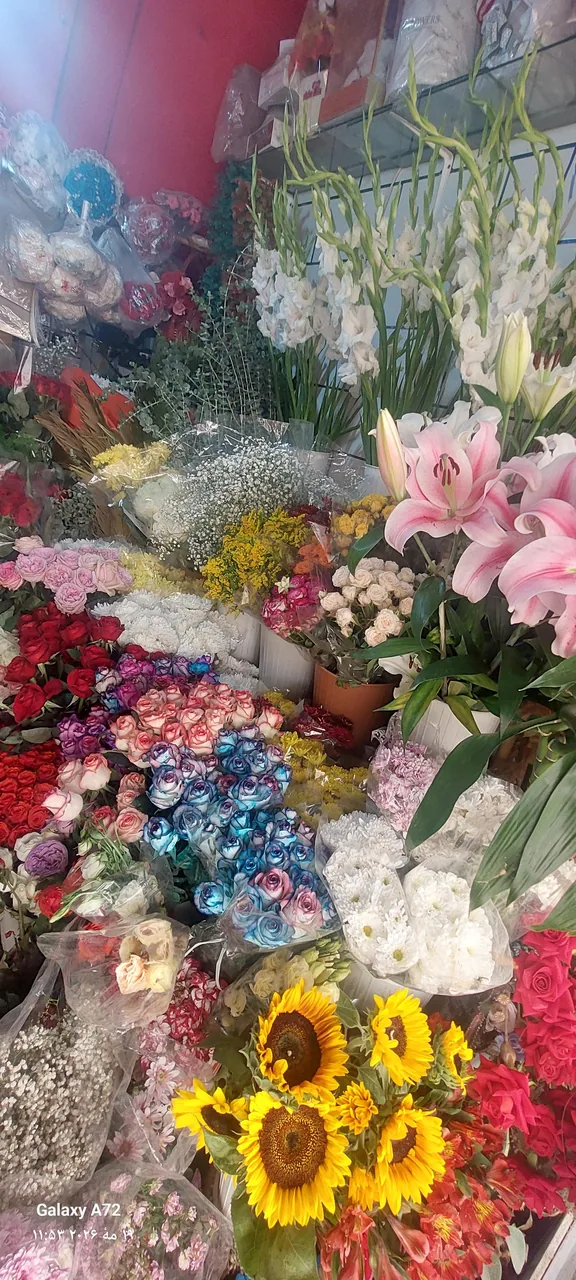 گلسرای آذین - تصویر 2