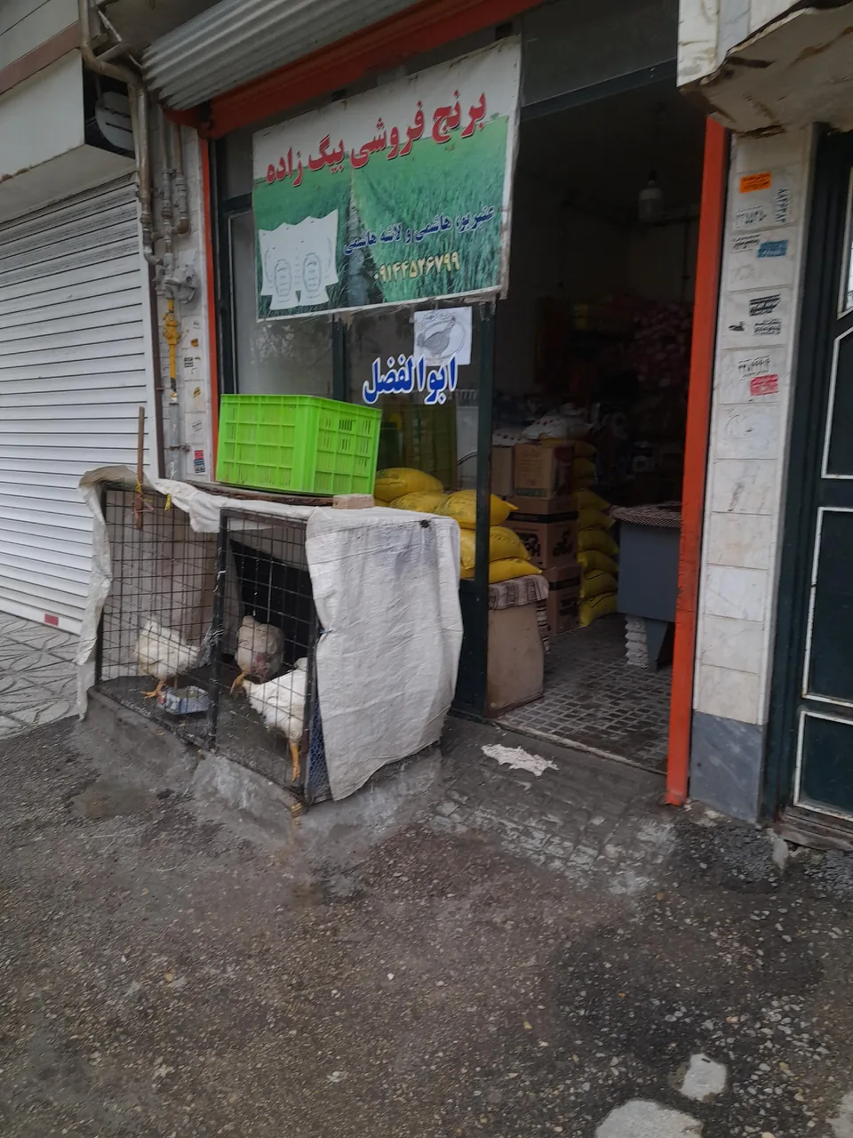 برنج فروشی بیگ زاده