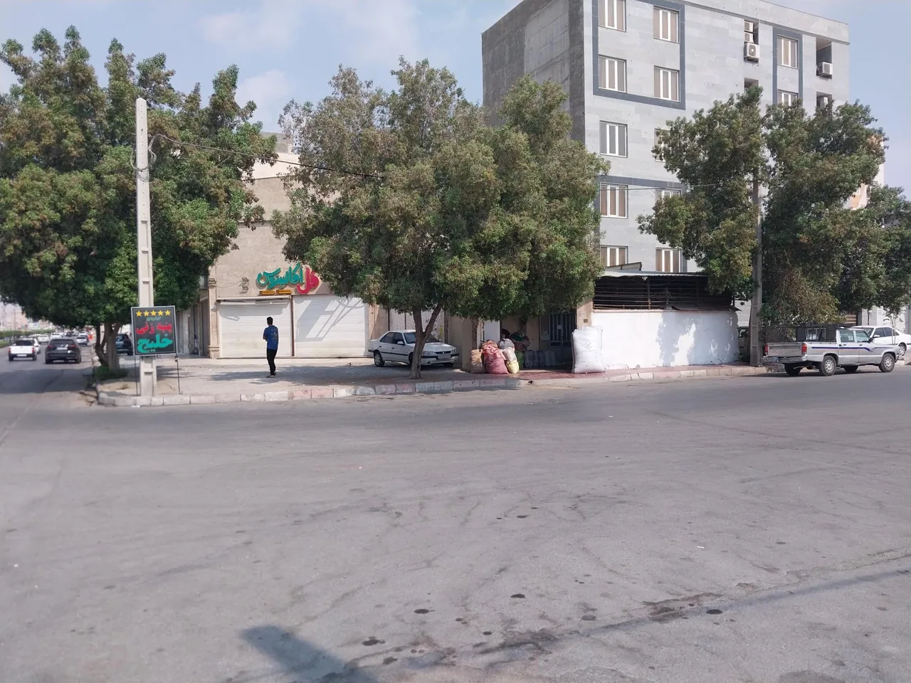 پنبه زنی خلیج - تصویر 4