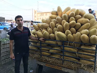 بارفروشی و حق العمل کاری علی بدیعی