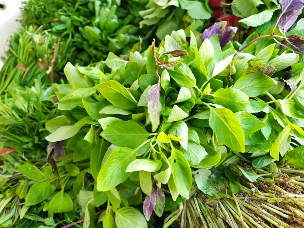 سوپرمیوه وسبزی احمدی