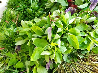 سوپرمیوه وسبزی احمدی
