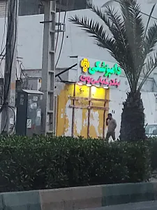 دامپزشکی بندرعباس وت