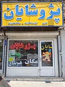 پژو شایان (نمایندگی الدورا)