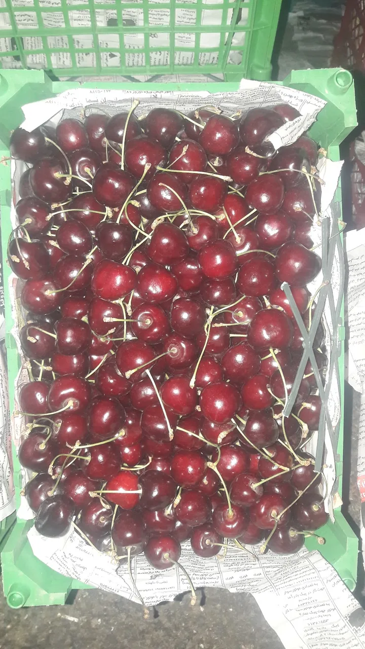 ارزان سرا و میوه تره بار میلاد