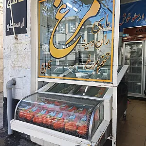 مرغ فروشی ارسطو
