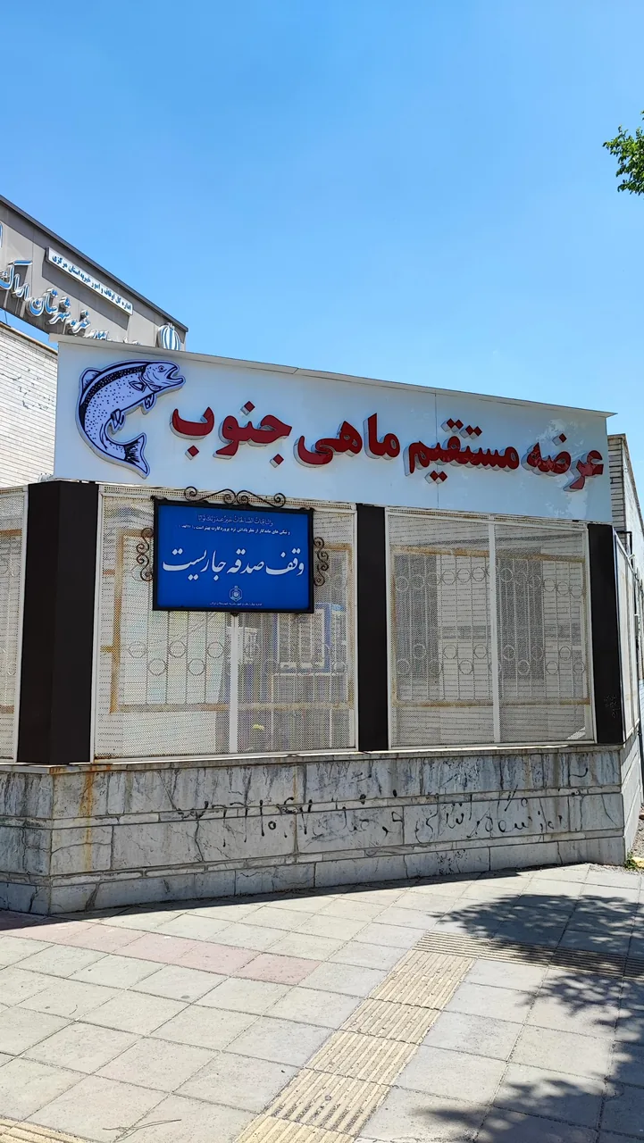 عرضه مستقیم ماهی جنوب درنیکا - گوشت، مرغ و پروتئینی در اراک