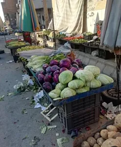 سبزی فروشی زنگنه