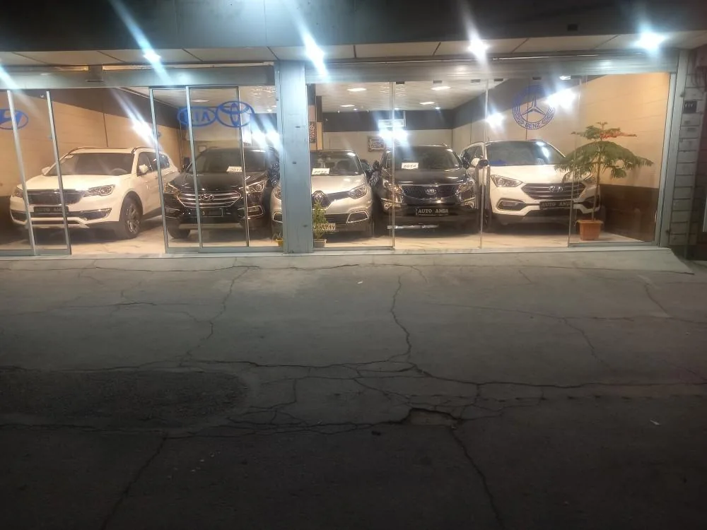 اتو امیر - تصویر 4