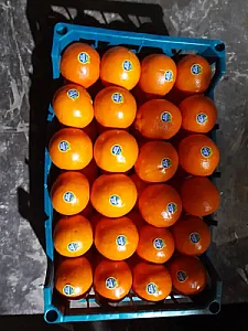 سوپر میوه سکینی