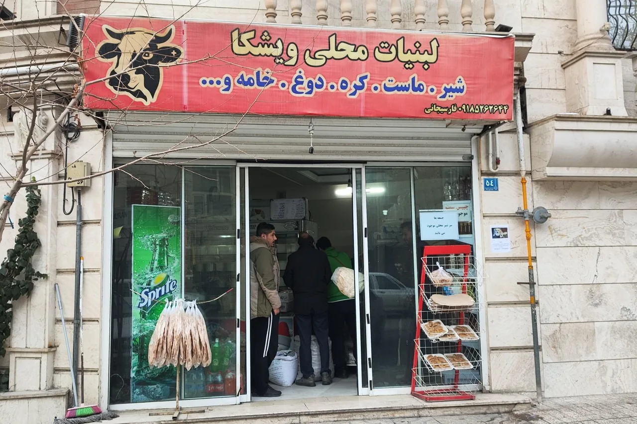لبنیات ویشکا - تصویر 2