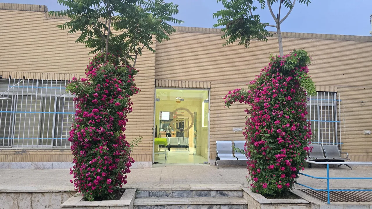 درمانگاه شبانه روزی مهدویان توس - تصویر 2