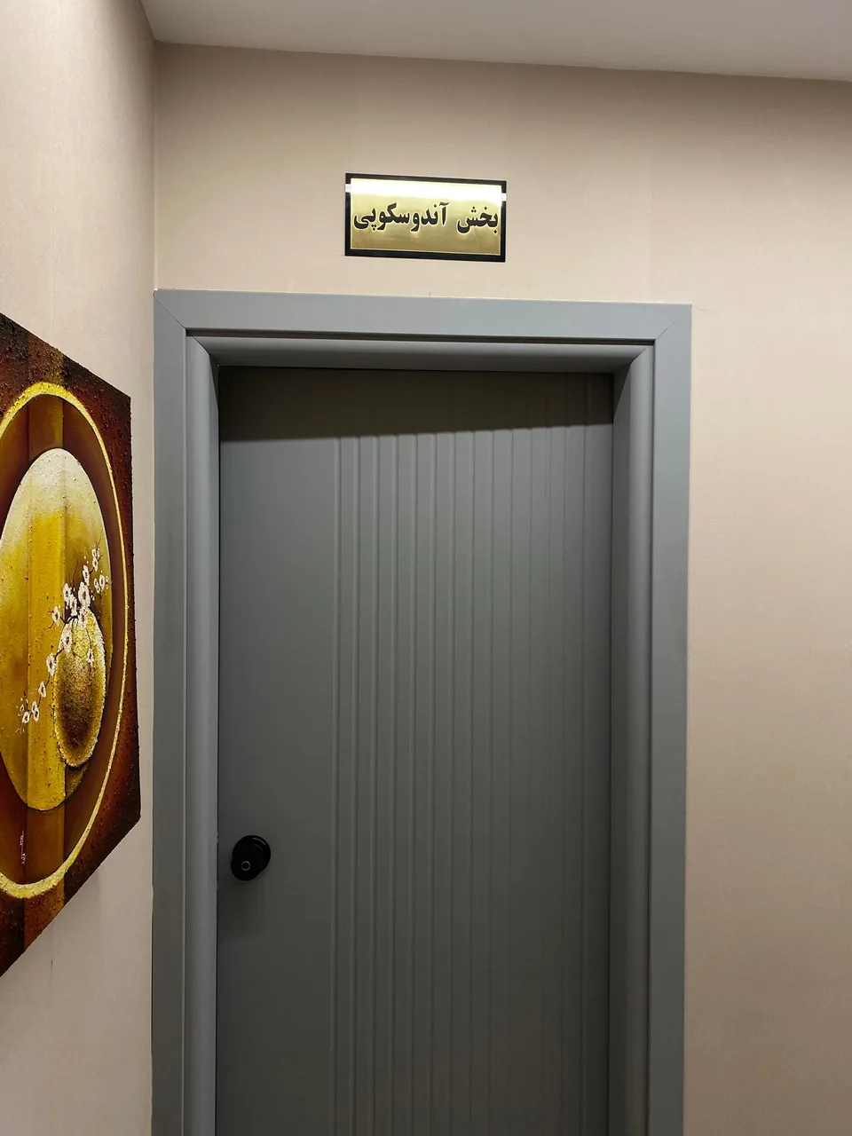 مطب دکترسید بابک علویان - تصویر 3