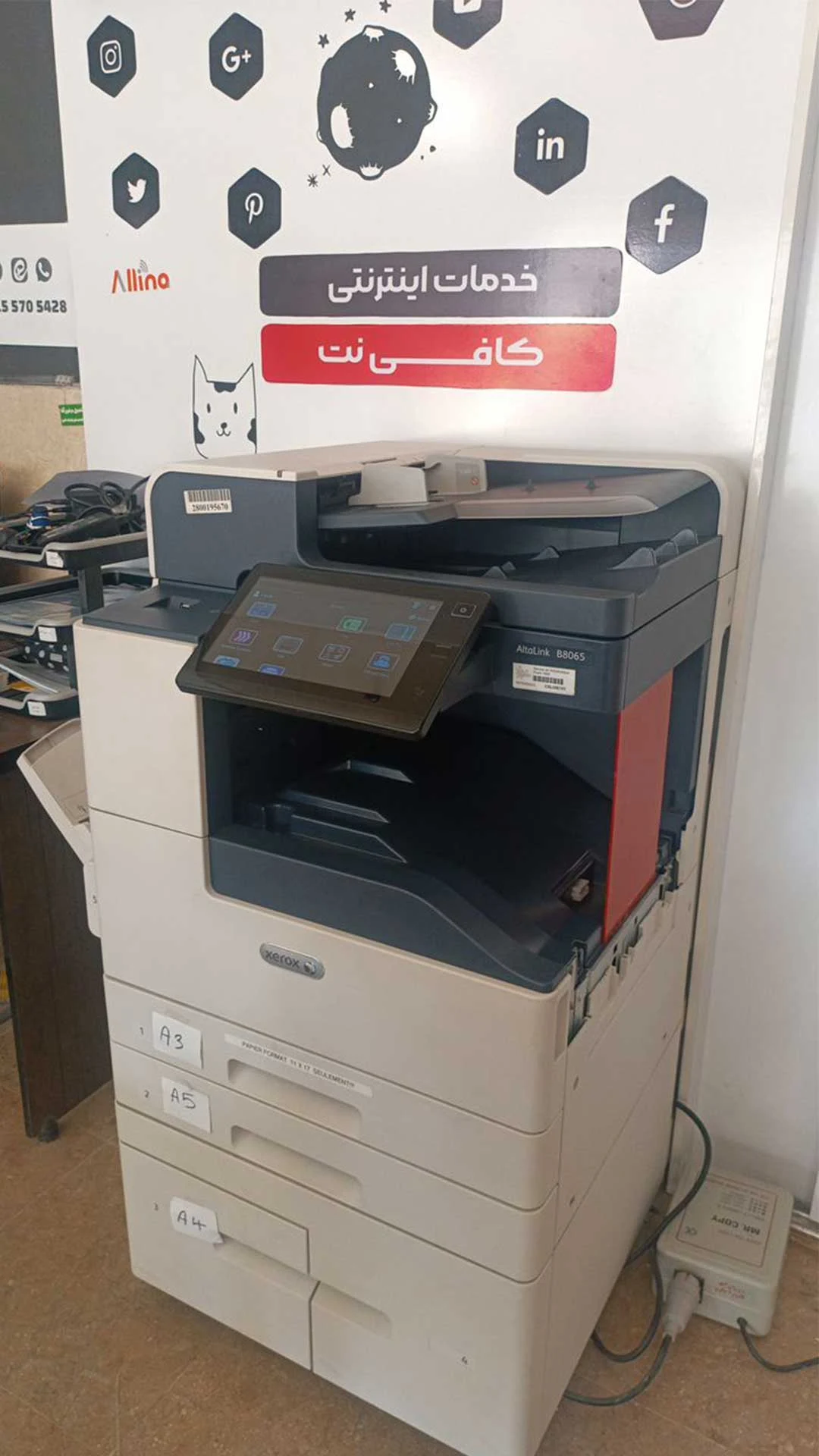 کافی نت آلینا
