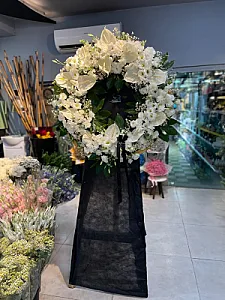 مجموعه گل و گیاه باغ گل