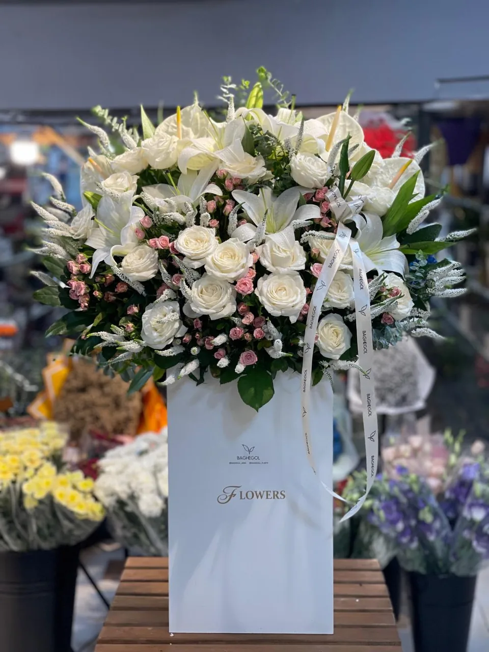 مجموعه گل و گیاه باغ گل - تصویر 4