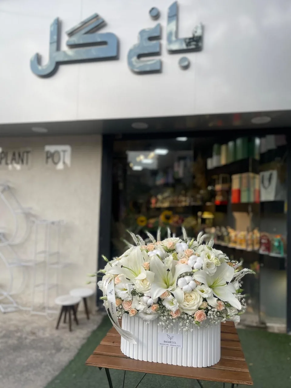 مجموعه گل و گیاه باغ گل - تصویر 5
