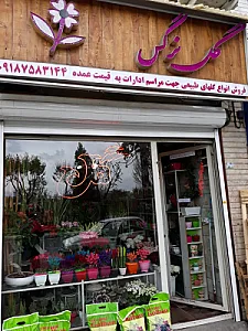 گلفروشی نرگس