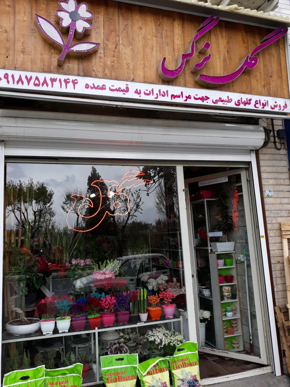 گلفروشی نرگس - گل‌فروشی در اراک