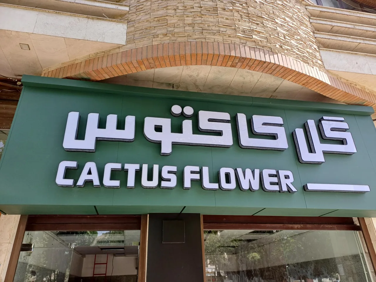 گل فروشی کاکتوس اراک - تصویر 2