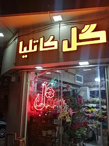 گل فروشی کاتلیا