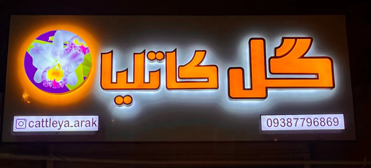 گل فروشی کاتلیا - تصویر 2