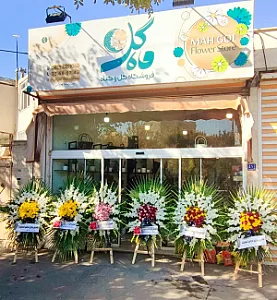 گل و گیاه ماه گل