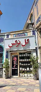 گل فروشی گل نرگس