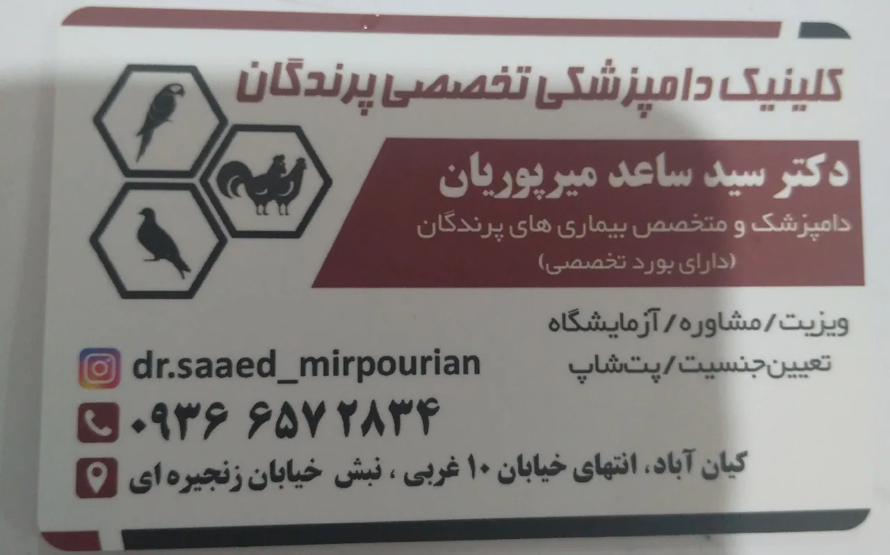کلینیک دامپزشکی تخصصی پرندگان دکتر میرپوریان - تصویر 2