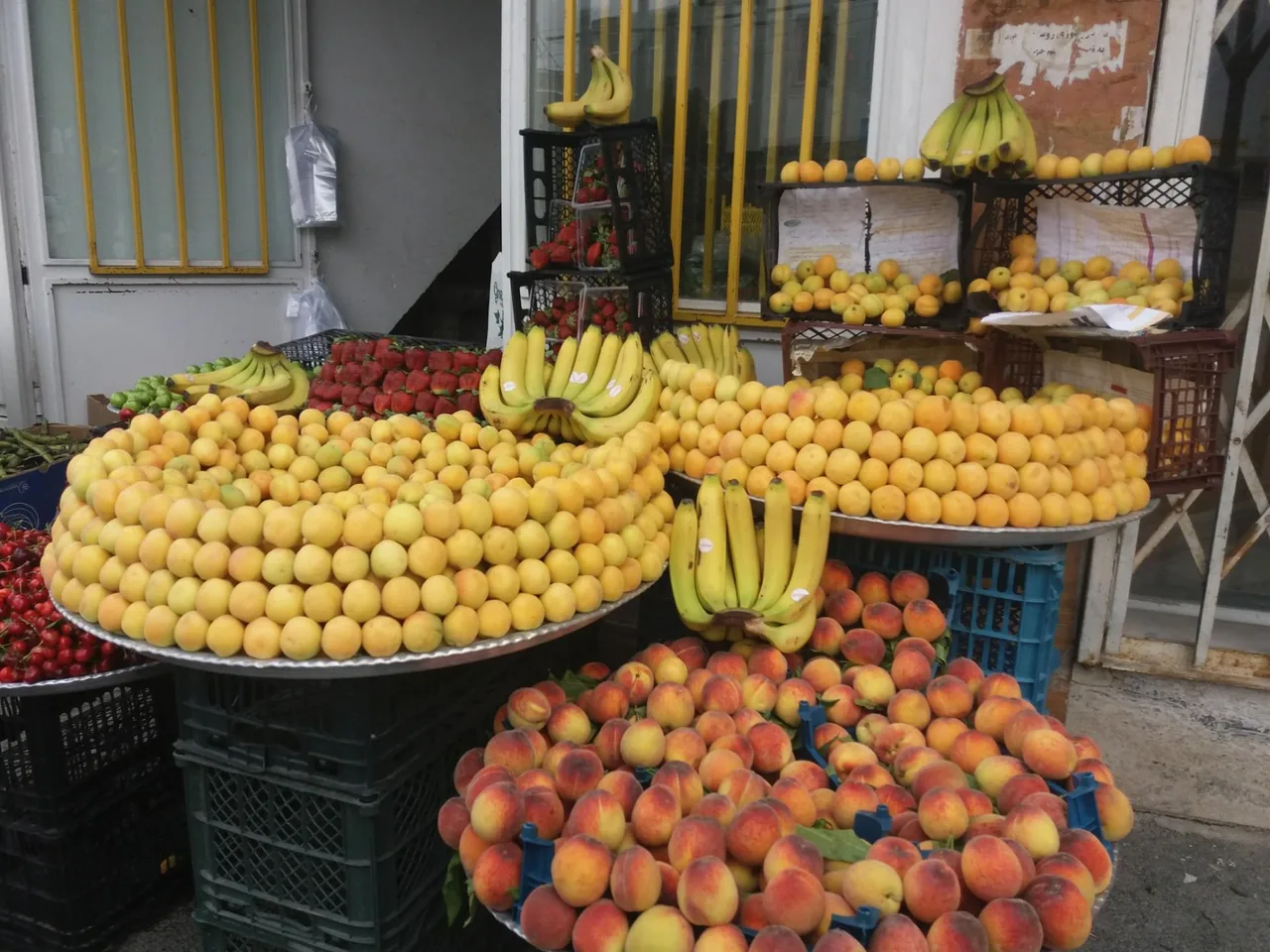میوه فروشی باغبان - میوه و تره‌بار در اراک