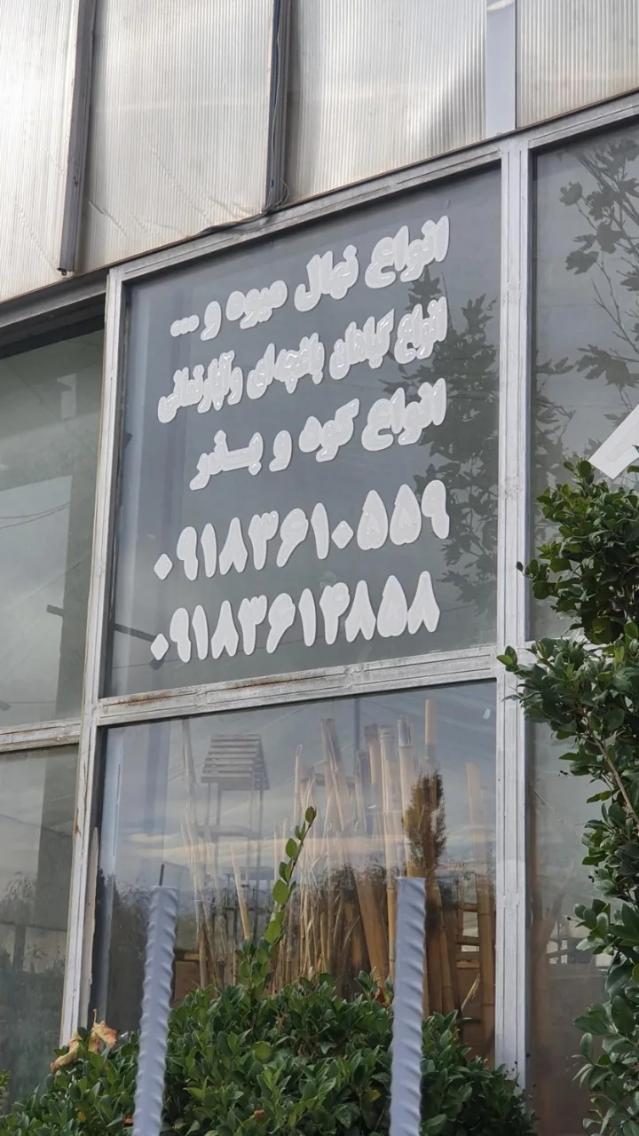 گلخانه امام رضا - تصویر 5