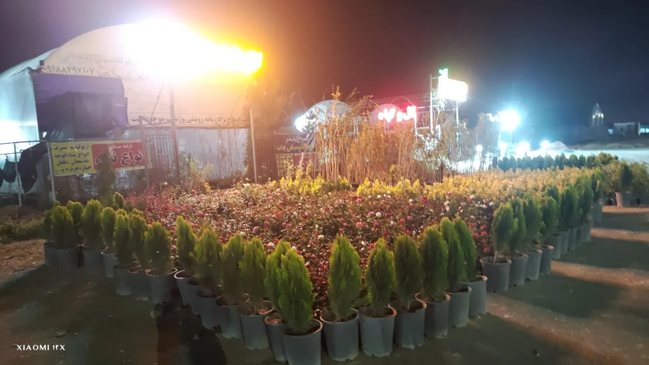 باغ دلگشا - گل و گیاهان زینتی در اراک - تصویر 2