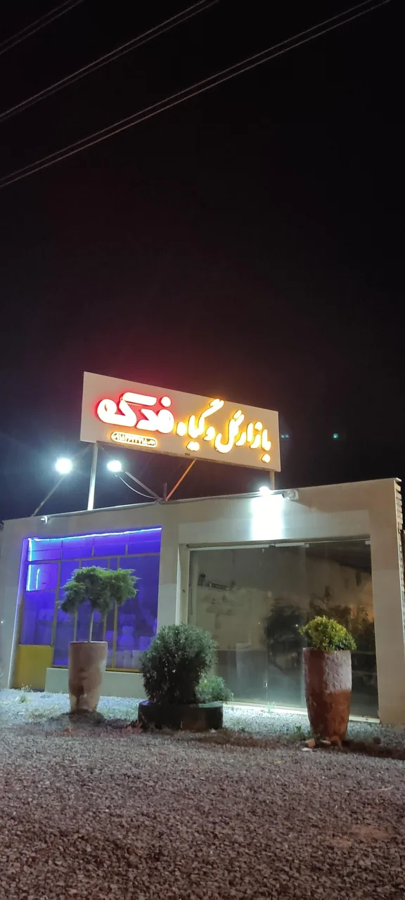 بازار گل و گیاه فدک - گل و گیاهان زینتی در اراک - تصویر 2