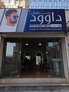 پیرایش داوود