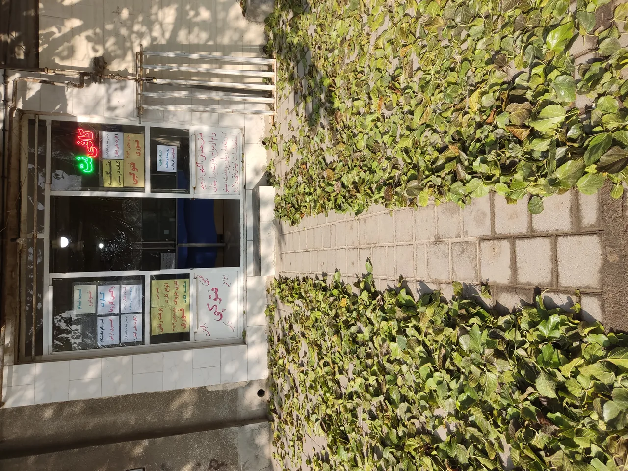 کافی نت ویرگول