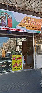 خدمات فنی و کلینیک کارواش گل کار