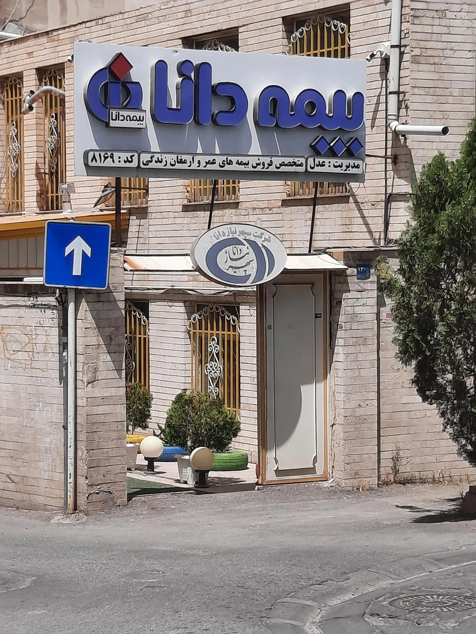 بیمه دانا