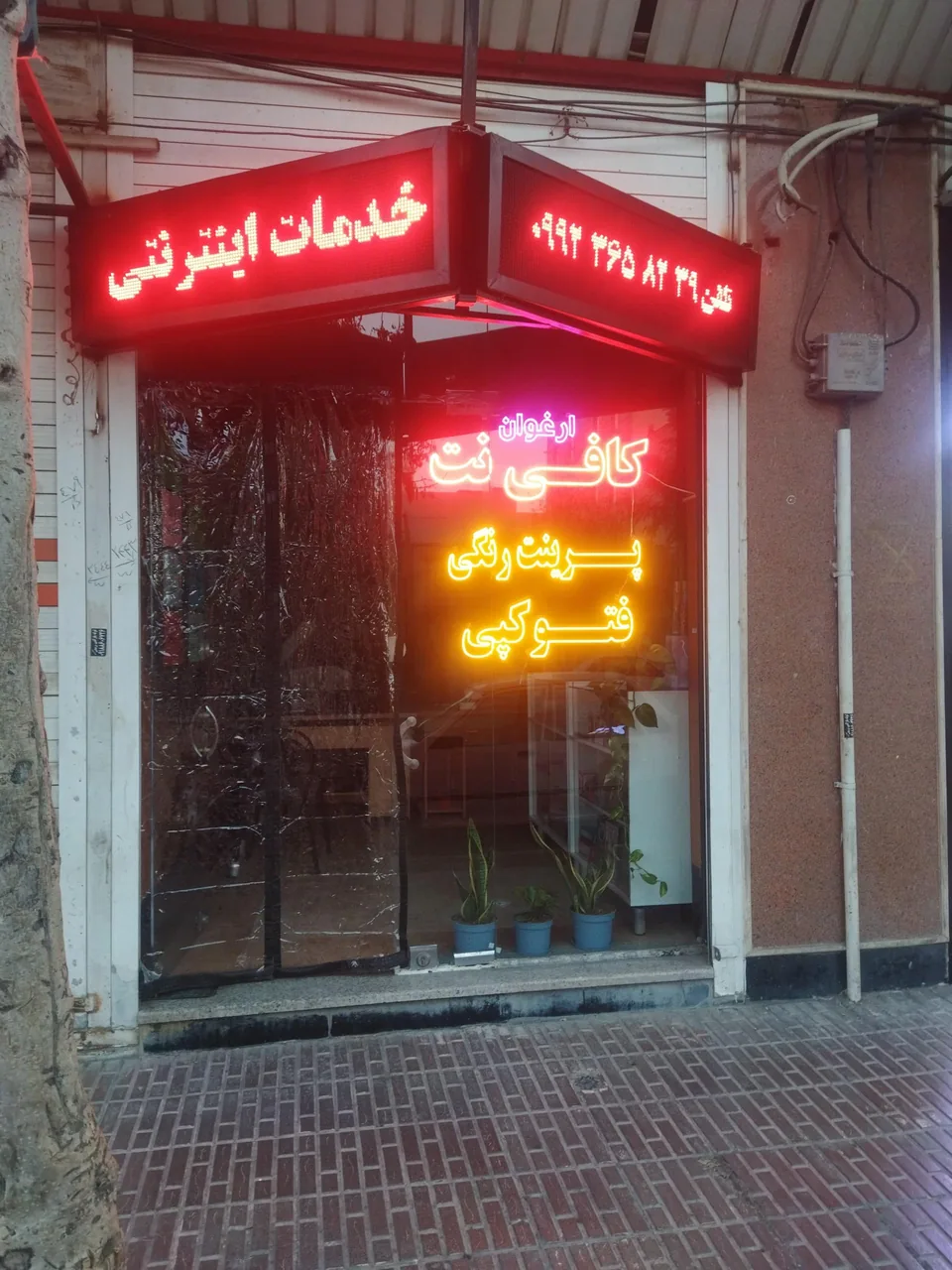 کافی نت ارغوان