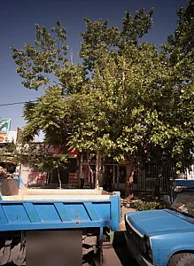 کافی نت نجفی