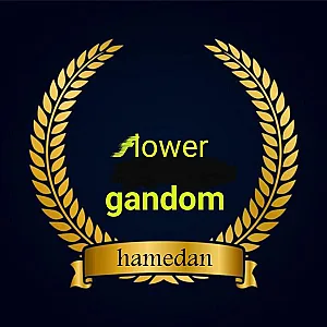 گل فروشی گل گندم