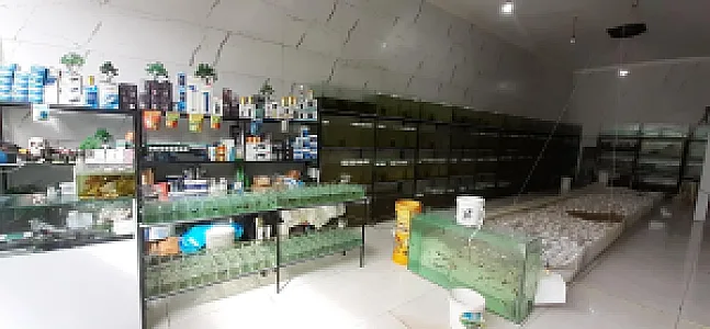 فروشگاه گلدن اروانا
