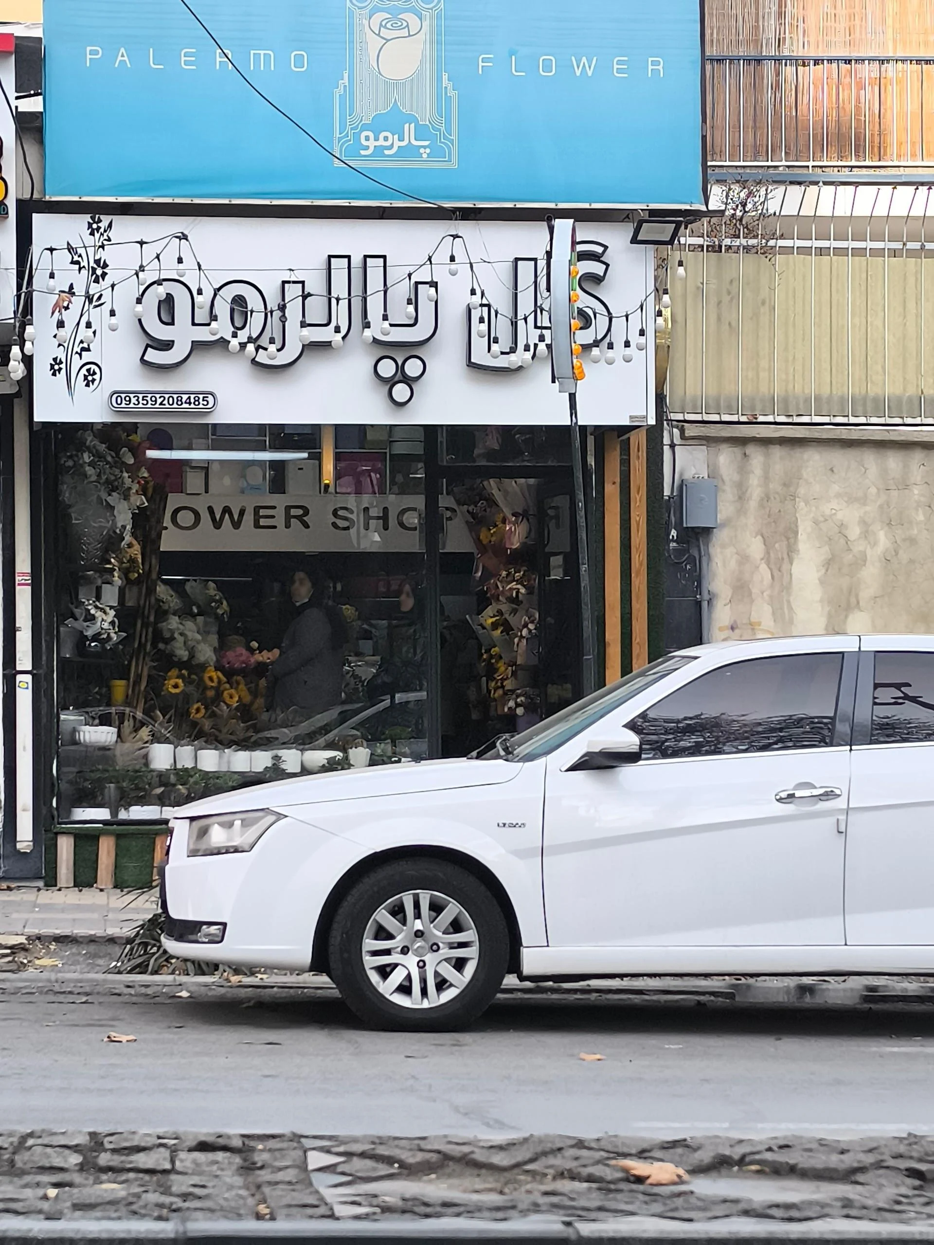 گلکده مینیاتور - تصویر 2