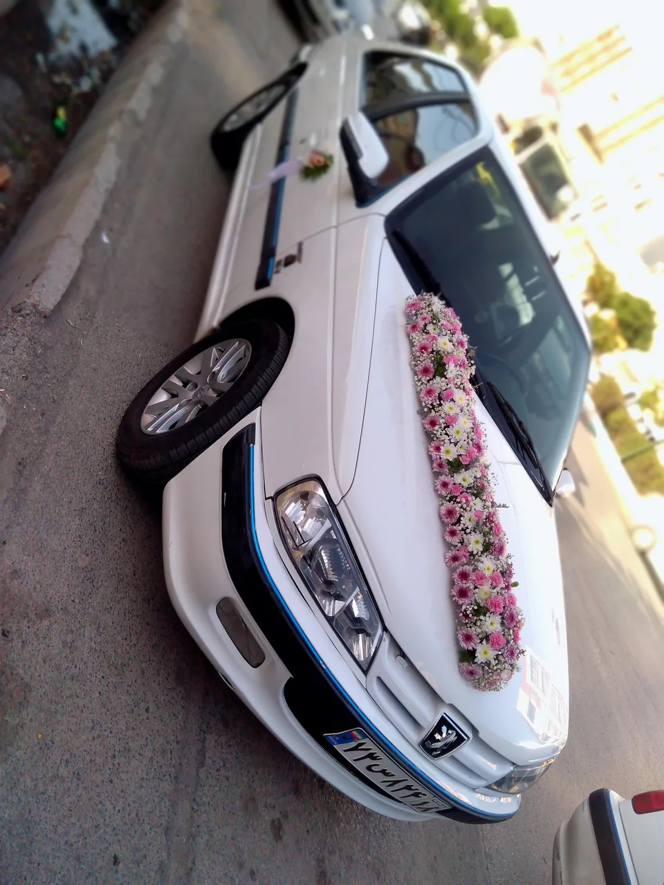 گل رز آرا - تصویر 5