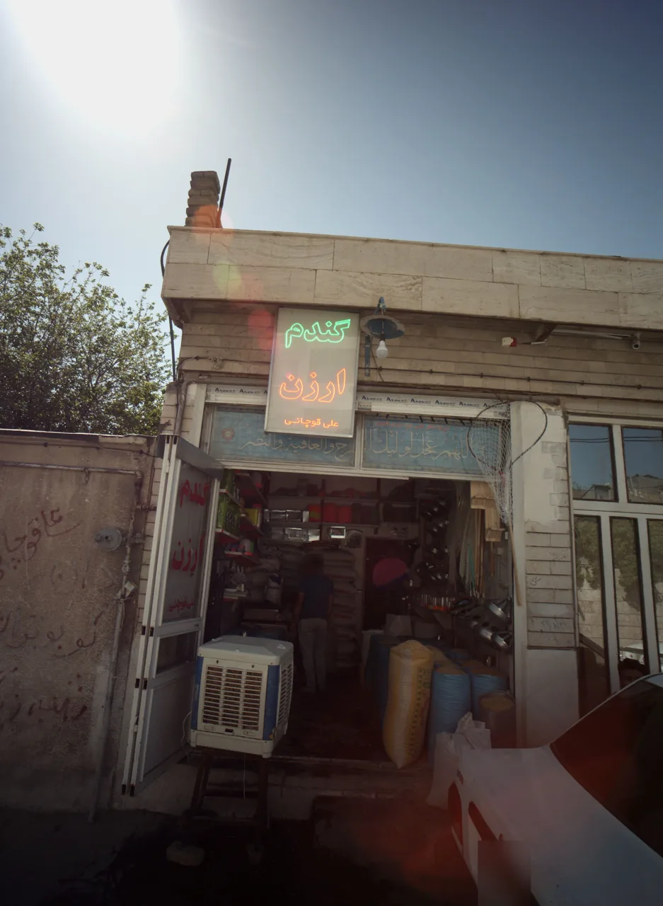 گندم ارزن علی قوچانی - تصویر 2